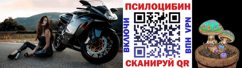 Галлюциногенные грибы Cubensis  Купить  Оха 